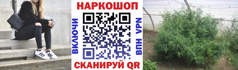 Купить закладку АМФ  СОЛЬ  Codein  Мефедрон  Бошки Шишки  ГАШ  COCAIN  Балаково