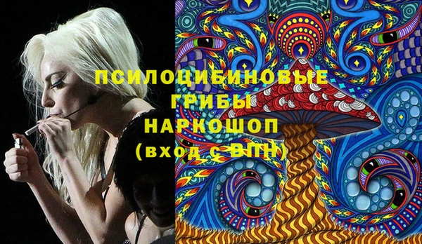 a pvp Горнозаводск