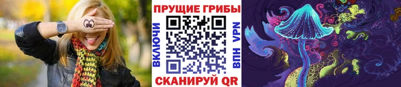 Псилоцибиновые грибы Psilocybine cubensis  Купить  Балаково 
